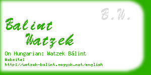 balint watzek business card